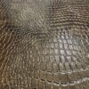 Zbliżenie na połyskującą powierzchnię złotej faktury krokodyla, przedstawiającą płyta węglowa matowa z delikatnymi metalicznymi refleksami.